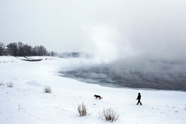 عابری به همراه سگش و مه بر فراز رودخانه انگارا در یک روز سرد در شهر ایرکوتسک - اسپوتنیک ایران  
