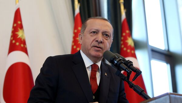 اردوغان  - اسپوتنیک ایران  