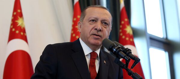اردوغان خواستار پایان دادن به سلطه دلار شد اردوغان خواستار پایان دادن به سلطه دلار شد - اسپوتنیک ایران