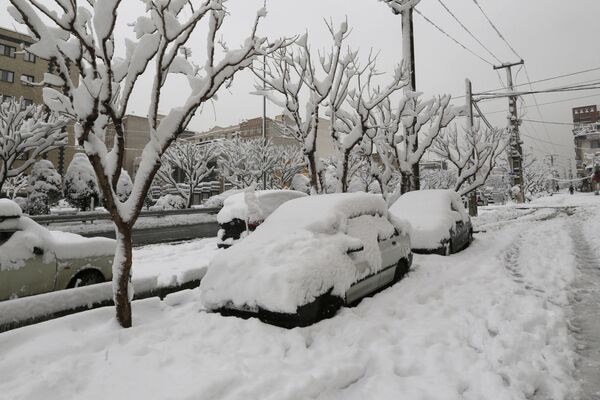 بارش برف در تهران- ایران - اسپوتنیک ایران  