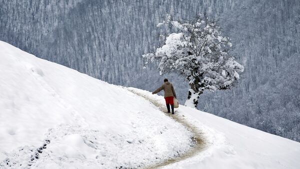 بارش برف در ایران - اسپوتنیک ایران  
