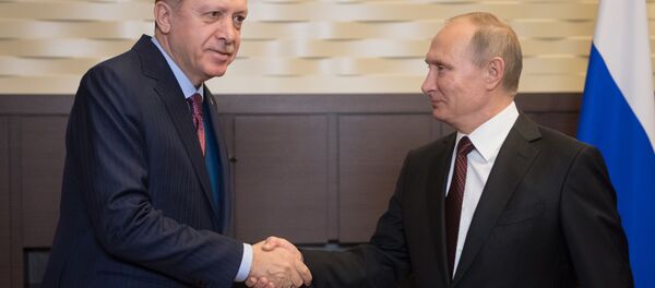 دعوت پوتین از اردوغان برای افتتاح مسجد کریمه - اسپوتنیک ایران  