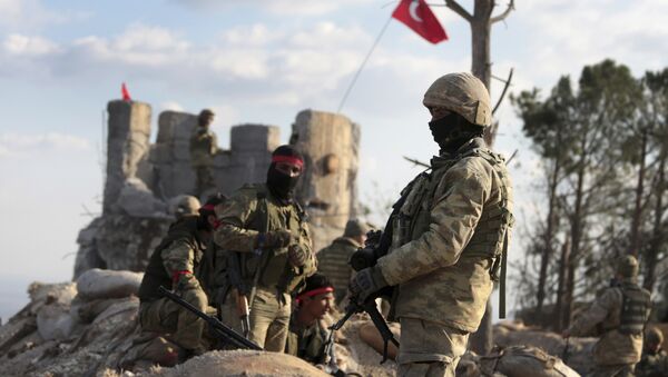ترکیه: از آغاز عملیات عفرین 823 شبه نظامی کشته شدند - اسپوتنیک ایران  