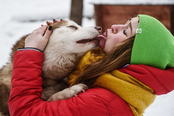 ابراز محبت سگ هاسکی به صاحب خود در پارک ساکولنیکی - مسکو - اسپوتنیک ایران  