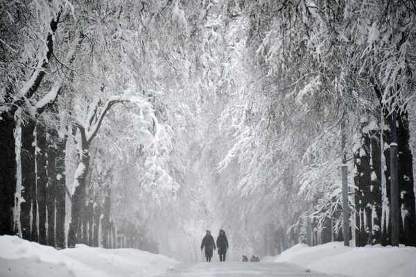 میزان بارش برف در مسکو - اسپوتنیک ایران  