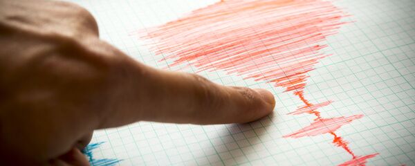 تعداد مصدومان زلزله در ایران به 310 نفر رسید - اسپوتنیک ایران  