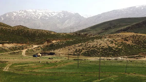 آخرین اخبار از جستجوی هواپیمای تهران-یاسوج - اسپوتنیک ایران  