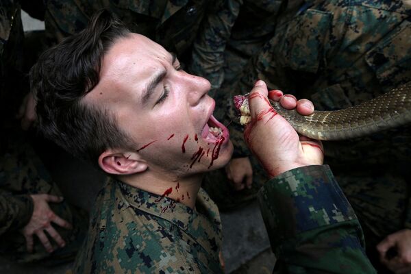 سرباز آمریکایی در حال نوشیدن خون کبرا در تمرینات زنده ماندن در جنگل ها در جریان رزمایش نظامی در تایلند - اسپوتنیک ایران  