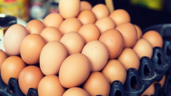 دانشمندان در مورد فواید تخم مرغ خبر دادند - اسپوتنیک ایران  