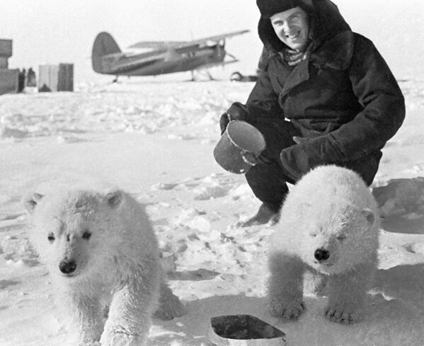 خرس های سفید در نزدیکی ایستگاه شناور« قطب شمال» اتحاد شوروی - اسپوتنیک ایران  