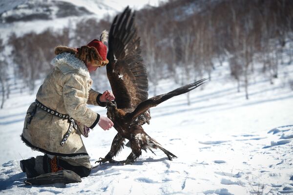 فستیوال بهاری عقاب طلایی در مغولستان - اسپوتنیک ایران  