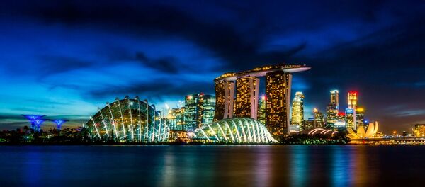 توقیف کشتی روسی در سنگاپور توقیف کشتی روسی در سنگاپور - اسپوتنیک ایران