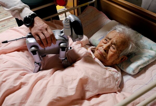 ربات های پرستار و همبازی برای سالمندان در ژاپن - اسپوتنیک ایران  