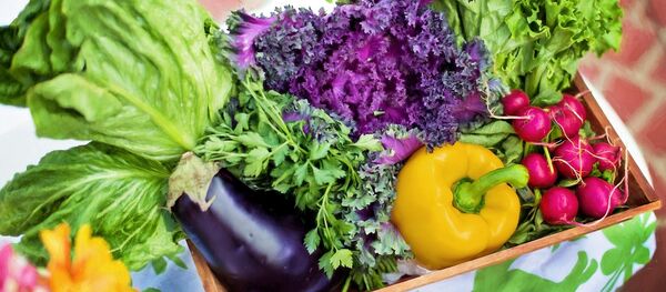 پرورش سیفی جات بدون نور خورشید و در سردترین نقطه زمین+ عکس پرورش سیفی جات بدون نور خورشید و در سردترین نقطه زمین+ عکس - اسپوتنیک ایران