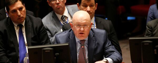  روسيه: دلیلی برای تمدید تحریم تسلیحاتی شورای امنیت سازمان ملل علیه ایران وجود ندارد  - اسپوتنیک ایران  