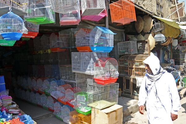 بازار بزرگ پرندگان در کابل - اسپوتنیک ایران  