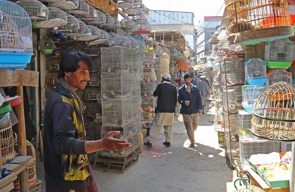 بازار بزرگ پرندگان در کابل - اسپوتنیک ایران  