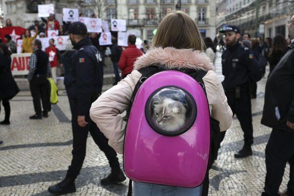 دختری با گربه اش به تظاهرات در حمایت از رئیس جمهور سابق برزیل نگاه می کند - اسپوتنیک ایران  