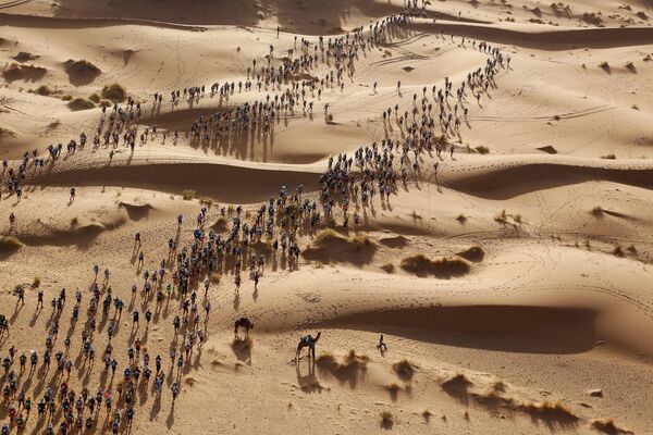 عکس «دو در صحرا» از اریک سامپرس از فرانسه - اسپوتنیک ایران  