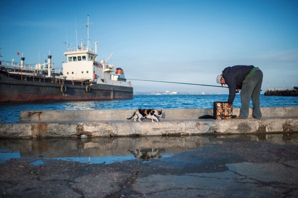 مردی در حال ماهیگری در ساحل شهر کرچ - اسپوتنیک ایران  