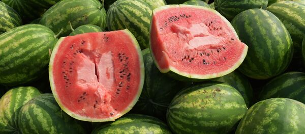 چه خوراکی هایی برای تامین آب بدن مفیدند؟
چه خوراکی هایی برای تامین آب بدن مفیدند؟
- اسپوتنیک ایران