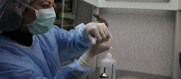 ارتباط بین گرسنگی و جوانی سلول ها ارتباط بین گرسنگی و جوانی سلول ها - اسپوتنیک ایران