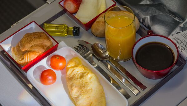 غذای هواپیما - اسپوتنیک ایران  