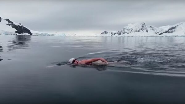 زن شجاع شناگر در قطب جنوب + فیلم - اسپوتنیک ایران  