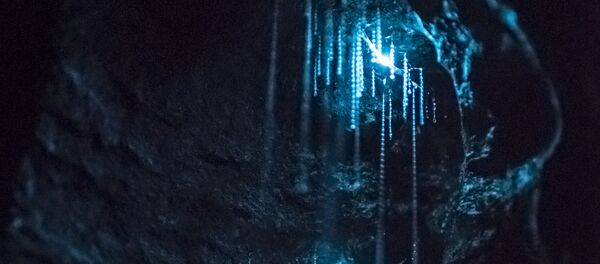 منابع سحر آمیز استخراج آب شرب در ایران - اسپوتنیک ایران  