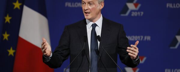 وزیر اقتصاد و دارایی فرانسه برونو لو مر - اسپوتنیک ایران  