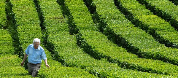 ایران پیشنهاد سری لانکا را رد کرد ایران پیشنهاد سری لانکا را رد کرد - اسپوتنیک ایران