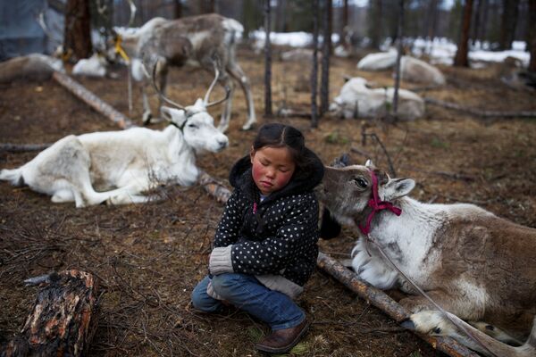 دختر شانزده ساله در میان گوزن ها در جنگلی واقع در مغولستان - اسپوتنیک ایران  