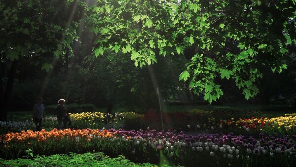 گیاهی زیبا و سمی که باعث سکته قلبی می شود+ ویدیو - اسپوتنیک ایران  