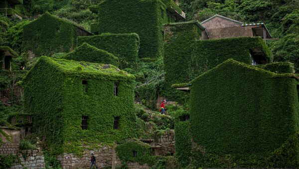 خانه های سبز  متروک در  شرق چین - اسپوتنیک ایران  