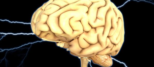 دلایل غیرطبیعی کم هوش شدن انسان دلایل غیرطبیعی کم هوش شدن انسان - اسپوتنیک ایران