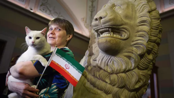 گربه پیشگو نتیجه بازی ایران و مراکش را پیش بینی کرد+ ویدیو گربه پیشگو نتیجه بازی ایران و مراکش را پیش بینی کرد+ ویدیو