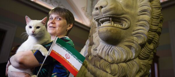 گربه پیشگو نتیجه بازی ایران و مراکش را پیش بینی کرد+ ویدیو گربه پیشگو نتیجه بازی ایران و مراکش را پیش بینی کرد+ ویدیو - اسپوتنیک ایران