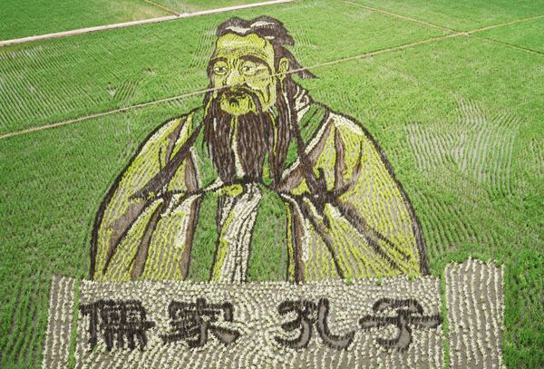 پرتره کونفسیوس در مزرعه برنج چین - اسپوتنیک ایران  