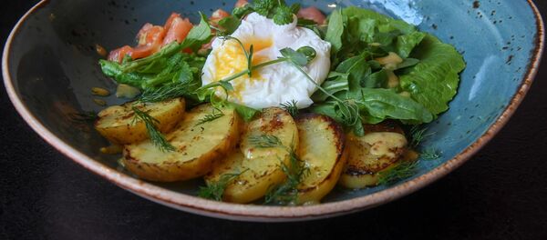 روزانه چند تخم مرغ بخوریم؟ - اسپوتنیک ایران  