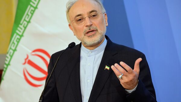 اعلام تاریخ اجرای مکانیزم ویژه مالی ایران و اروپا - اسپوتنیک ایران  