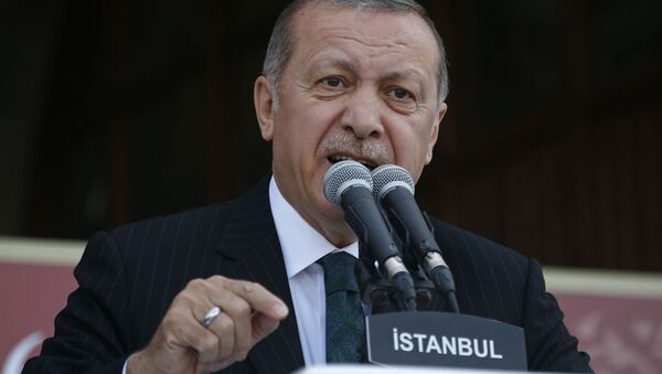 رجب طیب اردوغان رئیس جمهور ترکیه - اسپوتنیک ایران  