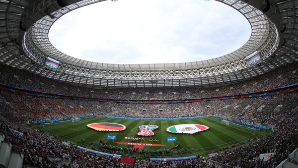 ضرر میلیونی آلمان برای بازی های جام جهانی در روسیه - اسپوتنیک ایران  