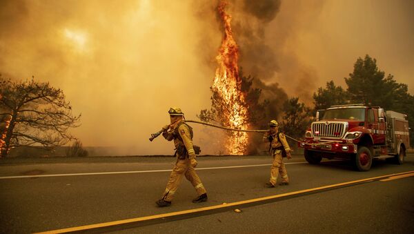 آتش سوزی در کالیفرنیا - اسپوتنیک ایران  
