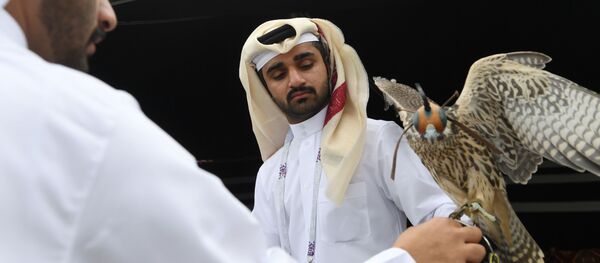 مردان با عقاب در مراسم افتتاحیه غرفه «نمایشگاه قطر» در پارک فرهنگ و استراحت گورکی مسکو مردان با عقاب در مراسم افتتاحیه غرفه «نمایشگاه قطر» در پارک فرهنگ و استراحت گورکی مسکو - اسپوتنیک ایران