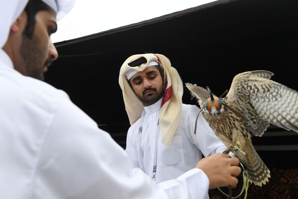 مردان با عقاب در مراسم افتتاحیه غرفه «نمایشگاه قطر» در پارک فرهنگ و استراحت گورکی مسکو - اسپوتنیک ایران  