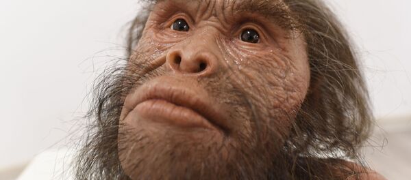 اولین نسل بشر چه زمانی در چین پدیدار شد؟ - اسپوتنیک ایران  