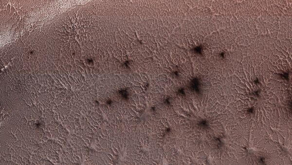 عکس ناسا  ازعنکبوت های سیاه در مریخ +عکس - اسپوتنیک ایران  
