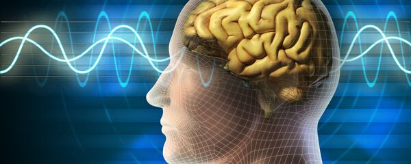 وزن مناسب برای جلوگیری از کوچک شدن مغز وزن مناسب برای جلوگیری از کوچک شدن مغز - اسپوتنیک ایران