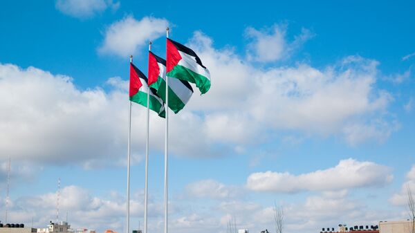 پرچم های فلسطین - اسپوتنیک ایران  