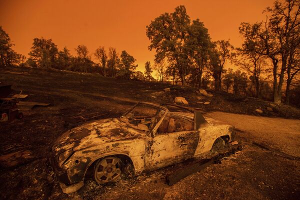 ماشین سوخته در زمان آتش سوزی جنگلی در کالیفرنیا - اسپوتنیک ایران  
